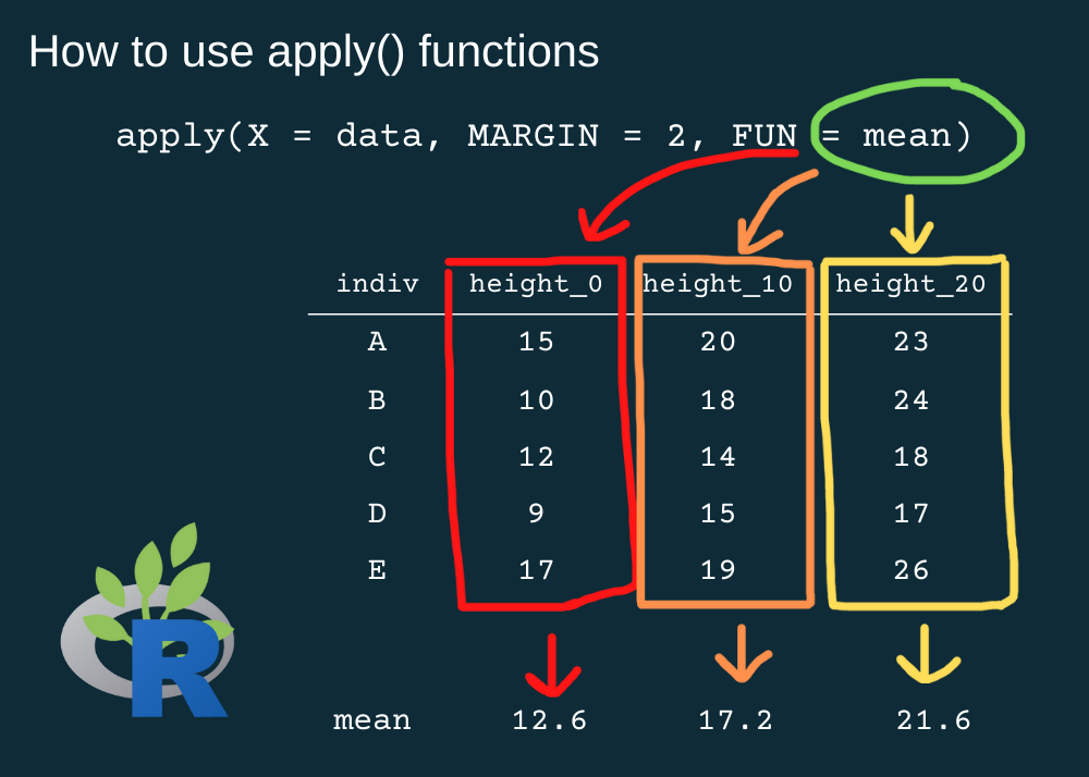 complete-tutorial-on-using-apply-functions-in-r-r-for-ecology