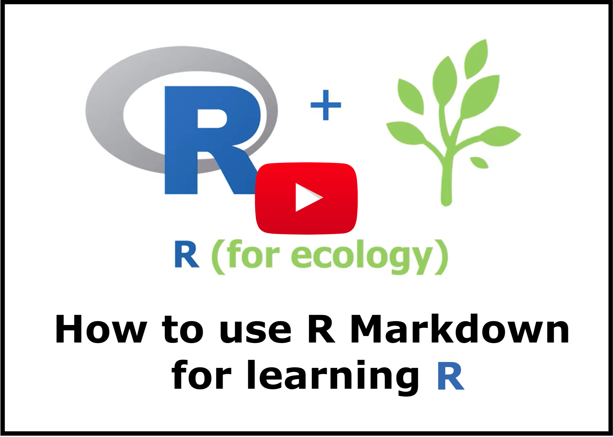 how-to-use-r-markdown-part-one-r-bloggers